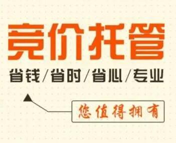 百度競價(jià)托管 (1).jpg