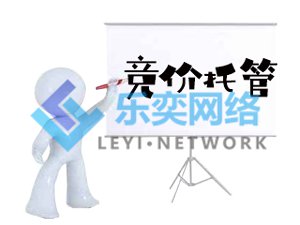 競(jìng)價(jià)托管賬戶(hù)搭建標(biāo)準(zhǔn)有哪些？(圖1)
